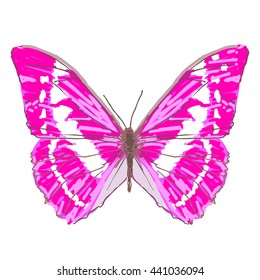 butterflies design