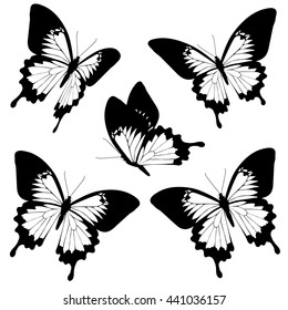 butterflies design
