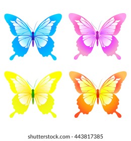 butterflies design
