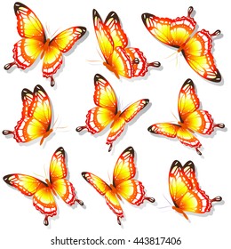 butterflies design