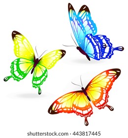 butterflies design