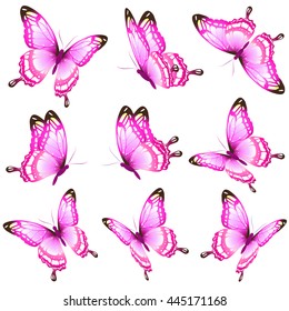 butterflies design