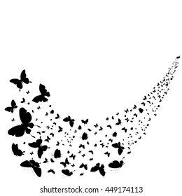 butterflies design