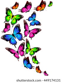 butterflies design