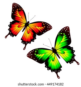 butterflies design
