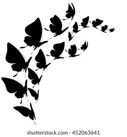 butterflies design
