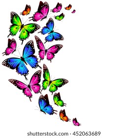 butterflies design
