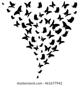 butterflies design