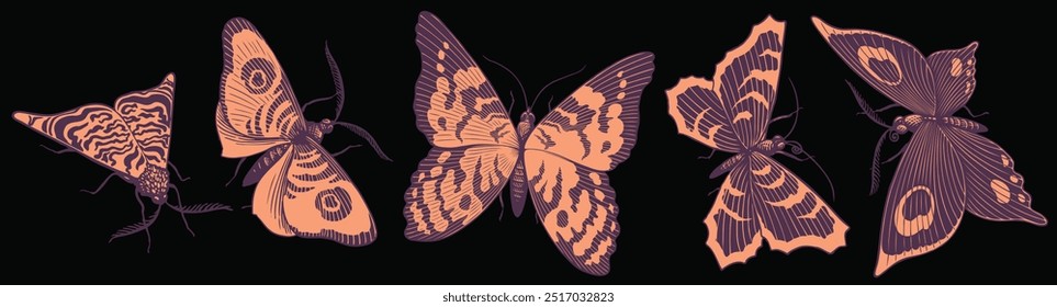 Mariposas. Conjunto de diseño. Ilustración dibujada a mano editable. Grabado vintage de Vector. Aislado sobre fondo negro. 8 EPS