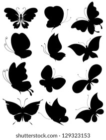 butterflies design vector