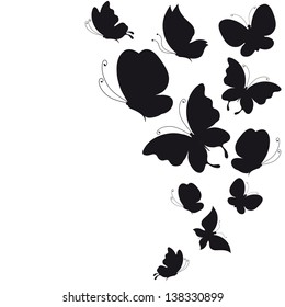 butterflies design vector