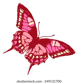 butterflies design vector