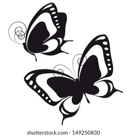 butterflies design vector