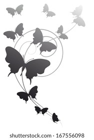 butterflies design vector