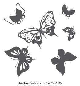 butterflies design vector