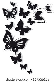 butterflies design vector