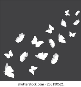 Butterflies design. Vector illustration.