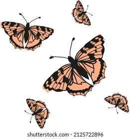 Butterflies of different sizes drawn