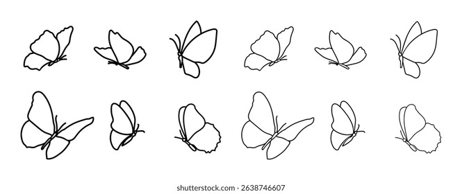Butterflies from different views. Set of linear drawing of butterfly isolated on a white background. Contour is of different  thickness. Linear icon, vector illustration.