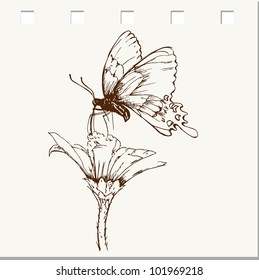  butterflies doodles