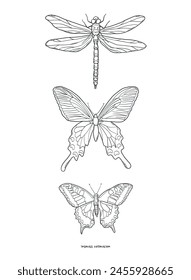 Butterflies and dragonfly drawings collection for poster, print, card, sublimation, coloring page, wall art, stickers, etc. EPS 10