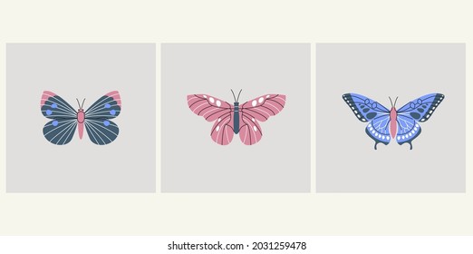 Butterflies elements collection. Colorful meadow wildlife isolated set. Different summer insects in trendy flat design.