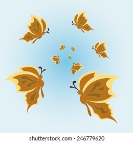 butterflies in flight