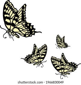 Butterflies in flight design element
