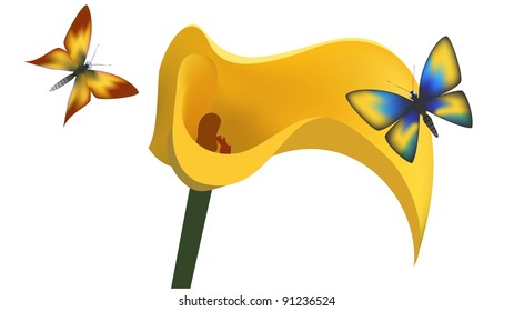 butterflies and flower