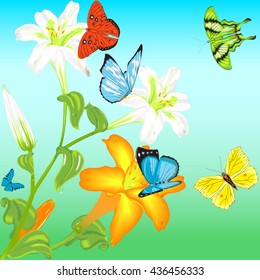 Butterflies and flowers