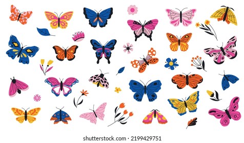 Butterflies and flowers. Exotic moths and tropical plants, decorative vibrant collection of spring colorful flying winged insects and leaves. Vector vivid set. Different colorful insects