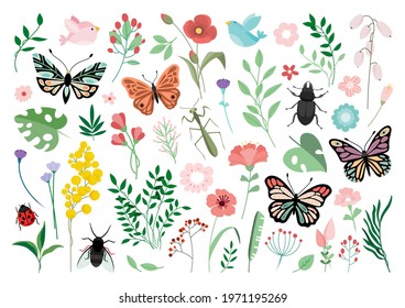 Butterflies and flowers, hand drawn collection of different element, isolated on white