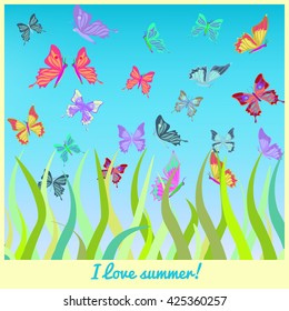 butterflies fly above the grass vector illustration