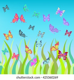 butterflies fly over the grass vector illustration
