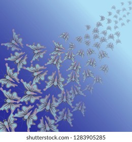 Butterflies. Flying butterflies. Abstract background of soaring butterflies