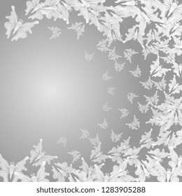 Butterflies. Flying butterflies. Abstract background of soaring butterflies