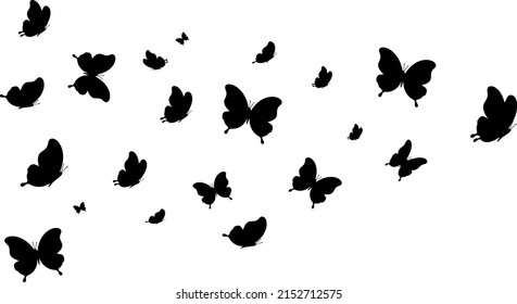 Butterflies flying around with copy space, isolated on white background, silhouette of different sizes butterfly vector