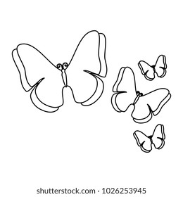 butterflies flying decorative frame