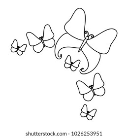 butterflies flying decorative frame