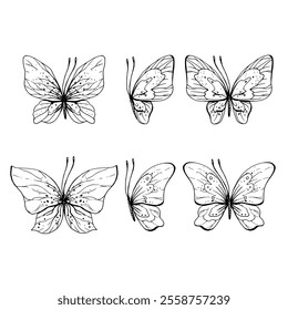 Butterflies flying, delicate line art, clip art. Graphic illustration hand drawn in black ink. Set of isolated objects EPS vector