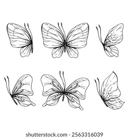 Mariposas volando, delicado arte lineal, arte Clip. ilustración gráfica dibujada a mano en tinta negra. Conjunto de objetos aislados Vector EPS