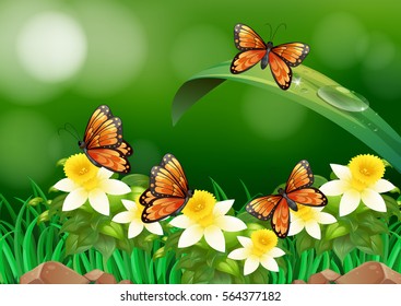 Butterflies flying in the garden illustration