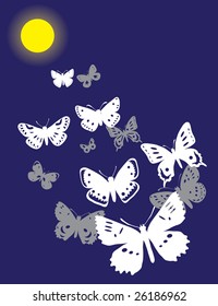 Butterflies flying in light of the moon. Vector illustration