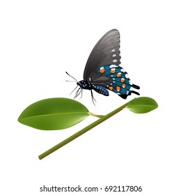 Butterflies flying on branch isolated on white background. vector illustration.