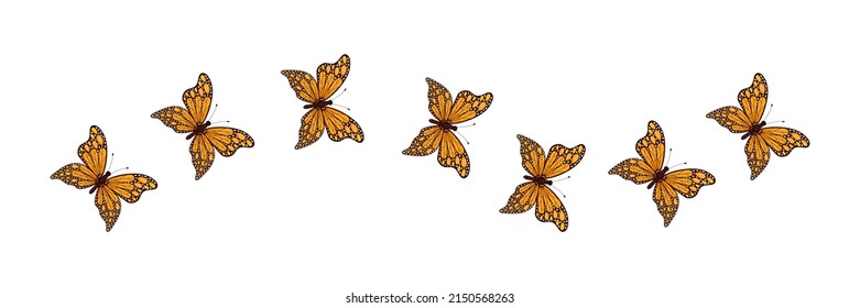 Butterflies flying on line route. Beauty colorful insects with open wings set. Vector isolated on white background.