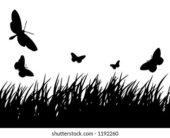 Butterflies Flying over Grass