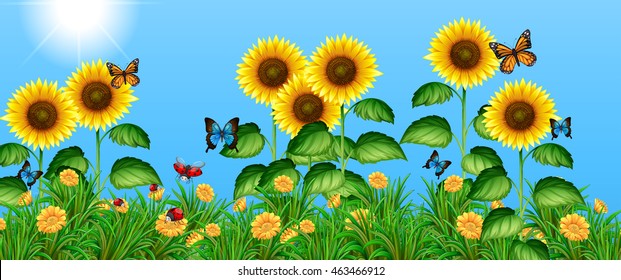 Butterflies flying in the sunflower field illustration