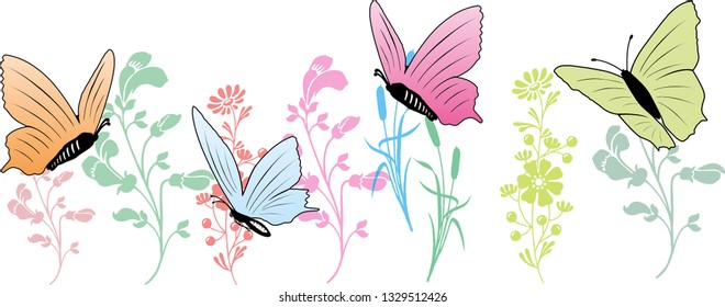 butterflies foraging on flowers and plants