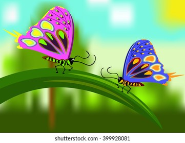 Butterflies girlfriends are sitting on a leaf sedge, talk about love on a background summer landscape