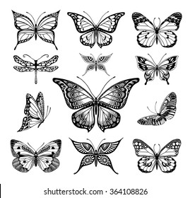 Butterflies Graphic Illustration Stock Vector (Royalty Free) 364108826 ...